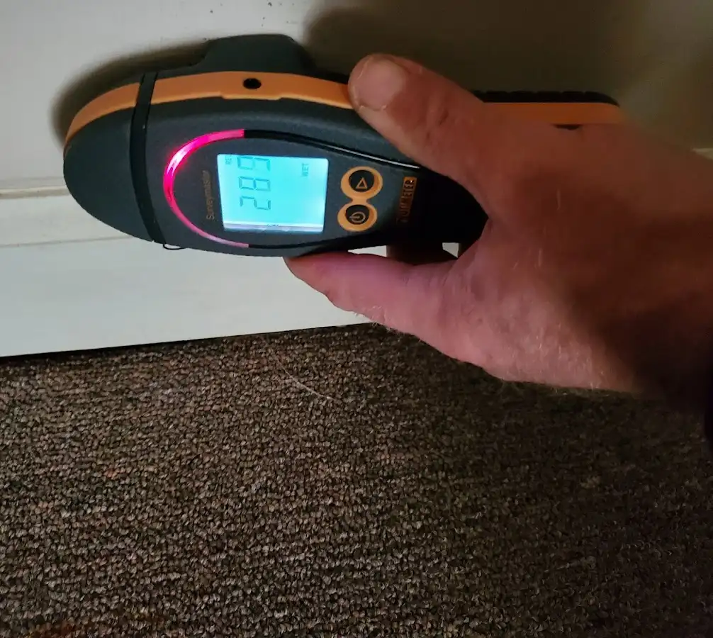 Moisture detection at baseboard during Sewage Cleanup & Sanitation in Blacksburg